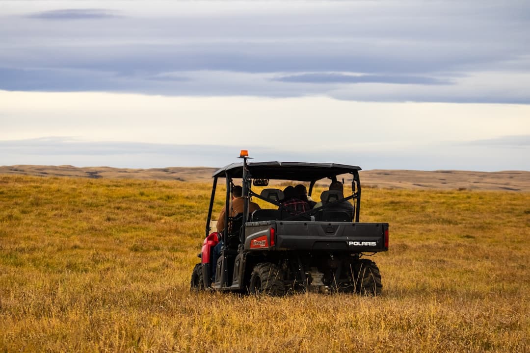 A Polaris utility side-by-side parked in tall golden grass with riders aboard under an overcast sky